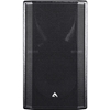 Axiom ED150P - Пассивная двухполосная акустическая система 15'' черного цвета