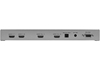 Gefen EXT-HDMI-242 - Коммутатор-распределитель 2:2 сигналов интерфейса HDMI