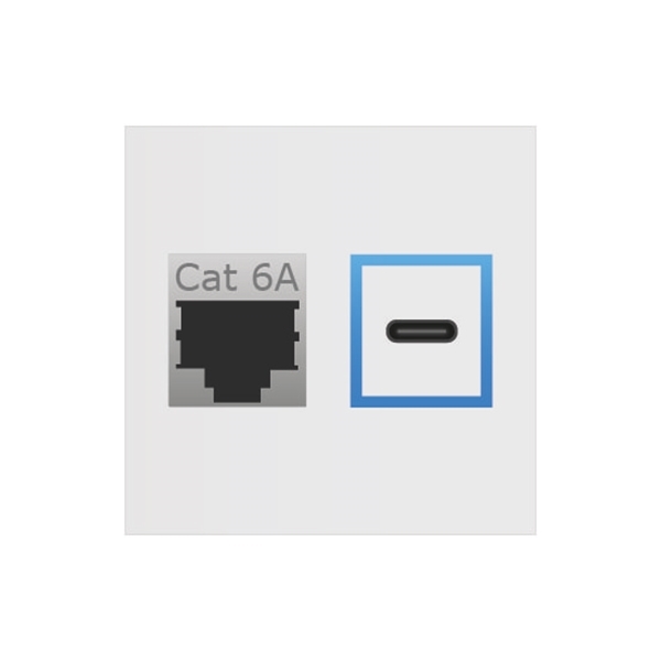 ABL 2T0110DC - Сдвоенный модуль подключения IMP 1xRJ45 Cat6A, USB-C, белый